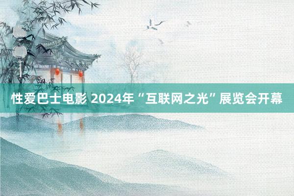 性爱巴士电影 2024年“互联网之光”展览会开幕