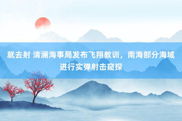 就去射 清澜海事局发布飞翔教训，南海部分海域进行实弹射击窥探