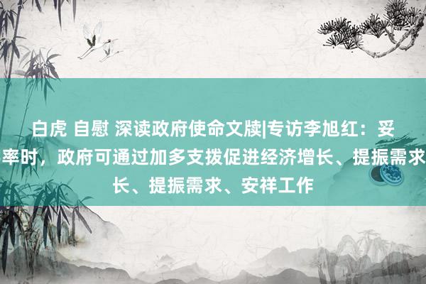 白虎 自慰 深读政府使命文牍|专访李旭红：妥贴提高赤字率时，政府可通过加多支拨促进经济增长、提振需求、安祥工作