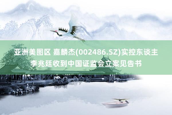 亚洲美图区 嘉麟杰(002486.SZ)实控东谈主李兆廷收到中国证监会立案见告书